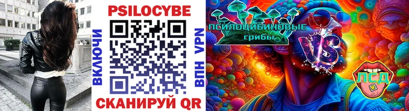 блэк спрут как зайти Калач-на-Дону Псилоцибиновые грибы ЛСД